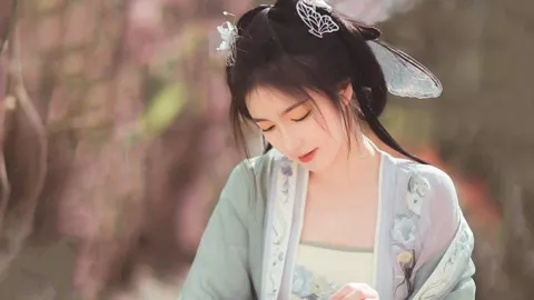 台风麦德姆