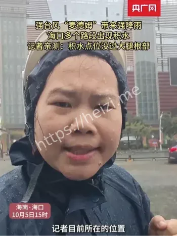 台风麦德姆